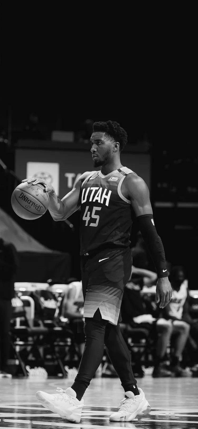 这位潜在加 这位潜在加